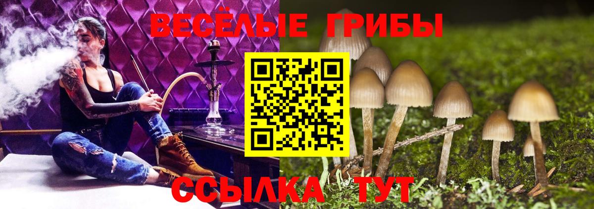 Галлюциногенные грибы Magic Shrooms Борзя