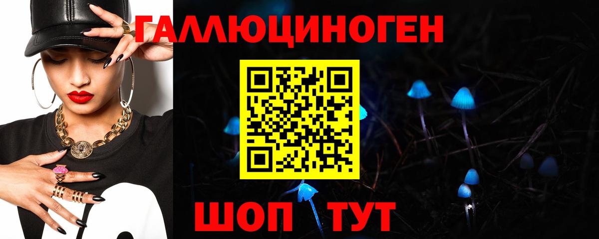 Борзя  Псилоцибиновые грибы Psilocybe  Вход с VPN 